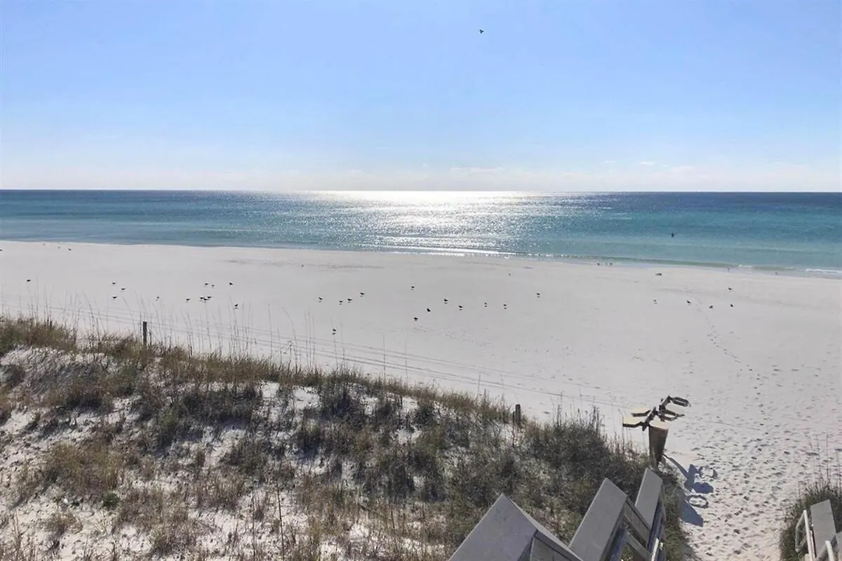 1005 Calypso Direct Ocean Front Master On The Gulf Lägenhet Panama City Beach